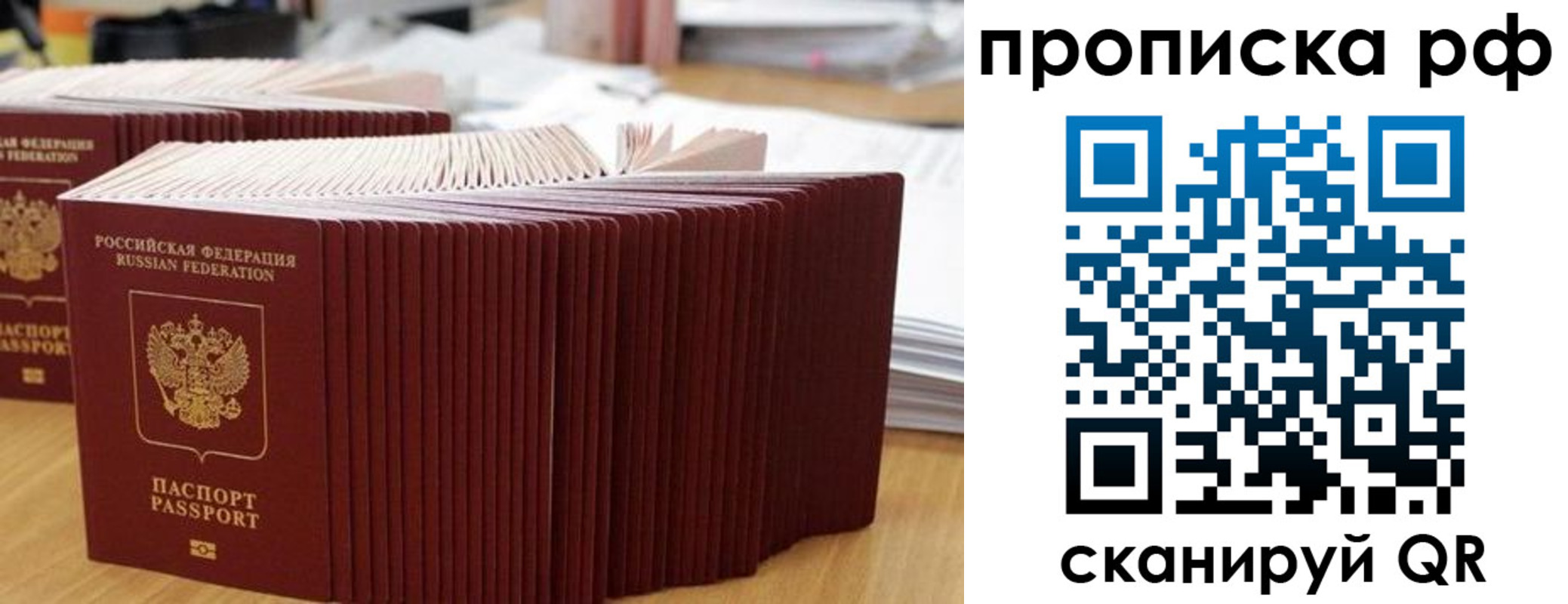 прописка в Ельце